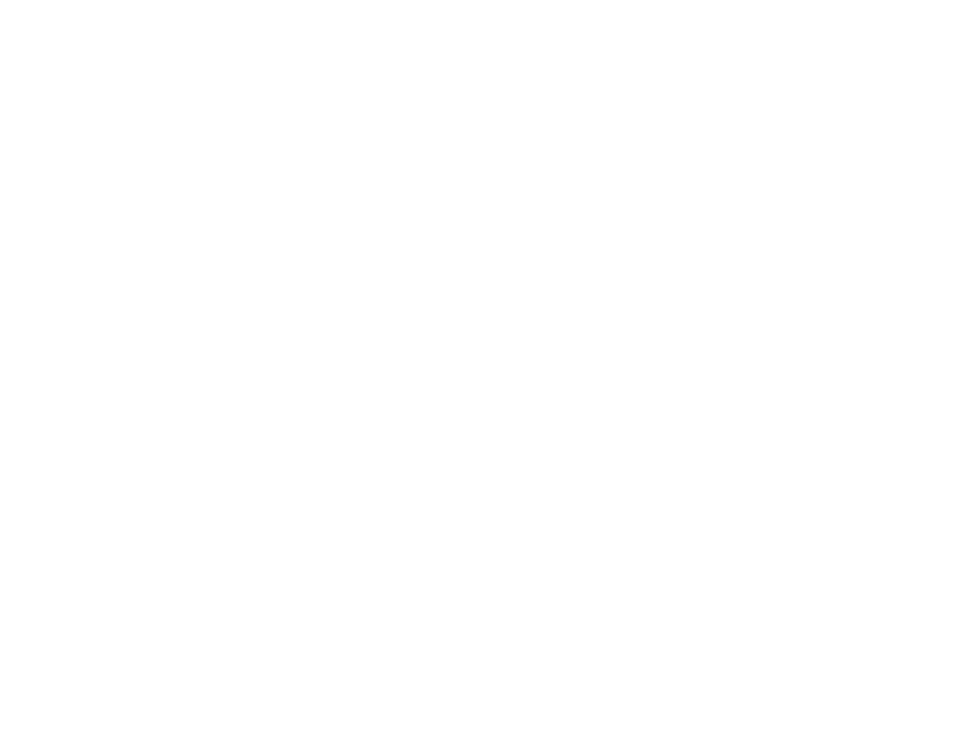 SkyBridge  Digital Marketing Services